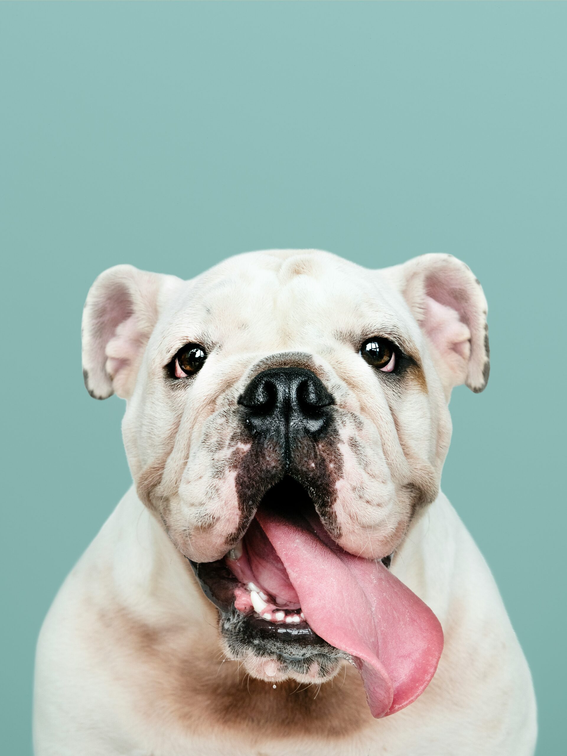 curated-lifestyle-fBwMiyEagGg-unsplash